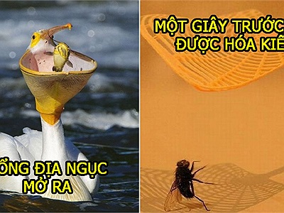 25 khoảnh khắc cực hoàn hảo bắt kịp một giây trước khi thảm họa xảy ra