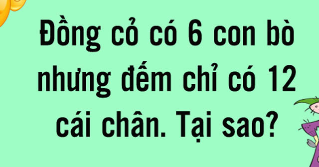 Loạt câu đố khiến bao người phải toát mồ hôi