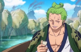 One Piece: 15 thông tin thú vị về anh chàng kiếm sĩ của băng Mũ Rơm, fan Zoro nhất định phải biết (P1)