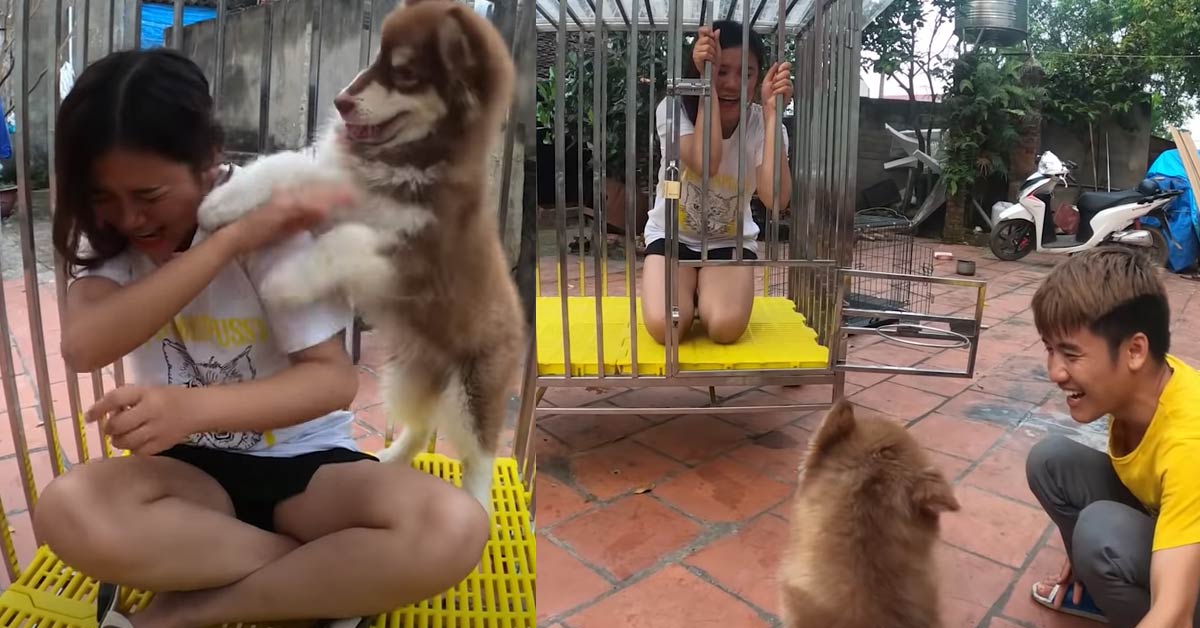 Con trai bà Tân Vlog nhốt em gái vào chuồng chó gây tranh cãi dữ dội