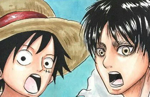 Chỉ sau một đêm, các fan của One Piece bỗng nhiên 