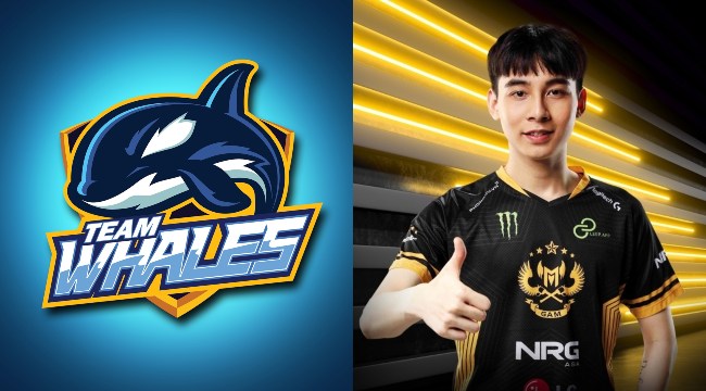 Team Whales chính thức gia nhập VCS; tân binh Genius Esports hé lộ đội hình siêu lực