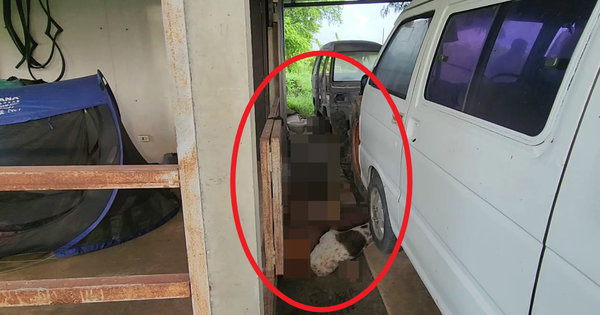 Đêm không thấy chồng về nhà, sáng hôm sau vợ ra gara kiểm tra thì bắt gặp cảnh tượng ám ảnh