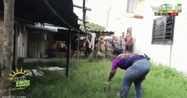 Rắn hổ mang chúa mò vào nhà, hung dữ tấn công chuyên gia nhưng đám đông tụ tập đứng xem vì lý do khác