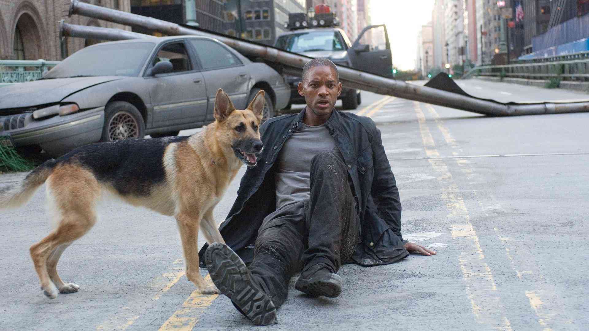 Warner Bros lại tiếp tục 'trọng dụng nhân tài' khi giữ lại Will Smith trong I Am Legend 2