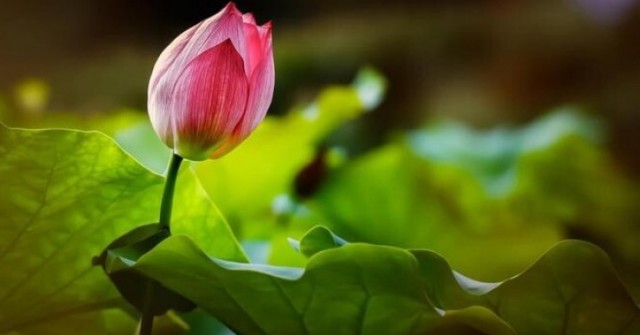 Dù giàu hay nghèo, 3 chữ "không" suốt đời phải luôn ghi nhớ