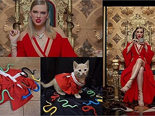 Xuất hiện cô mèo cosplay Taylor Swift trong Look What You Made Me Do vô cùng đáng yêu