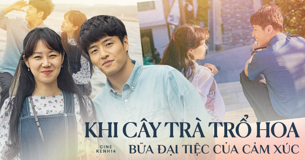 Xúc động chuyện tình tỉnh lẻ nhẹ nhàng của Kang Ha Neul và mẹ đơn thân Gong Hyo Jin ở 