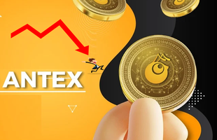 “Crypto thuần Việt” của Shark Bình mất gần 60% giá trị chỉ sau 9 ngày