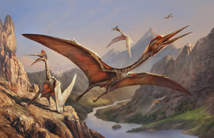 Thằn lằn bay Quetzalcoatlus – Sinh vật khiến khủng long T-rex phải khiếp sợ