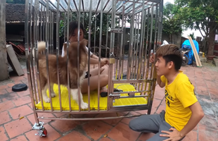 Nhốt em gái vào chuồng chó, con trai bà Tân Vlog lại gây nên những tranh cãi không hồi kết