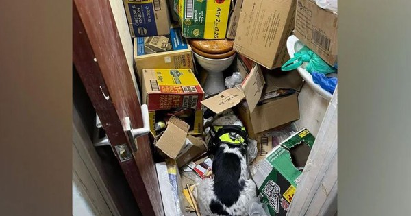 Kiểm tra bí mật 1 cửa hàng, phát hiện lượng lớn hàng giả, hàng bất hợp pháp dưới toilet: Tòa án vào cuộc
