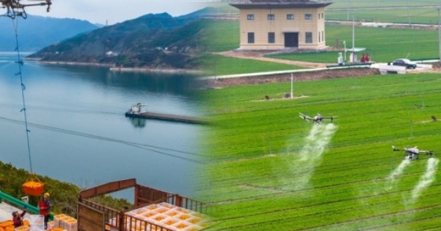 Những cánh đồng 'không người lái' tại Trung Quốc