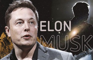 Elon Musk: Đỉnh cao và vực sâu