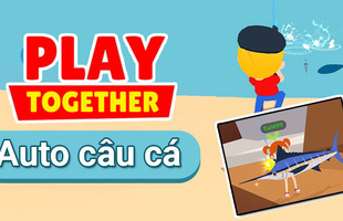 Hơn 3000 tài khoản Play Together “bay màu” trong đêm, xuất hiện vô số tên của game thủ Việt.