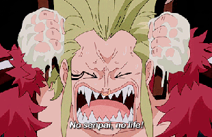 Bá đạo như “thánh cuồng” Bartolomeo trong One Piece: Yêu ai yêu cả đường đi lối về