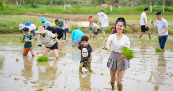 Buồn của Trung Quốc: Tỷ lệ thất nghiệp tăng kỷ lục, người trẻ lũ lượt về quê ‘nghỉ hưu non’, ‘viện dưỡng lão’ cho thanh niên mọc lên nhan nhản