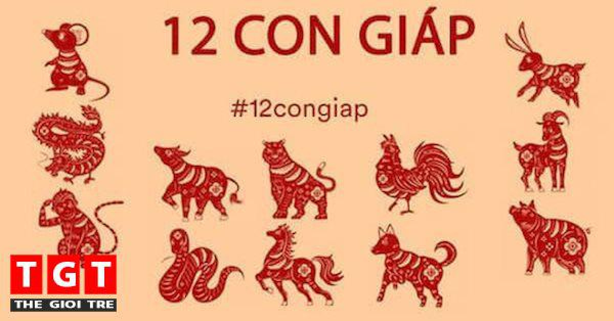 Trong năm 2020, có 3 con giáp nên thận trọng, tránh họa tiểu nhân làm ảnh hưởng đến công việc