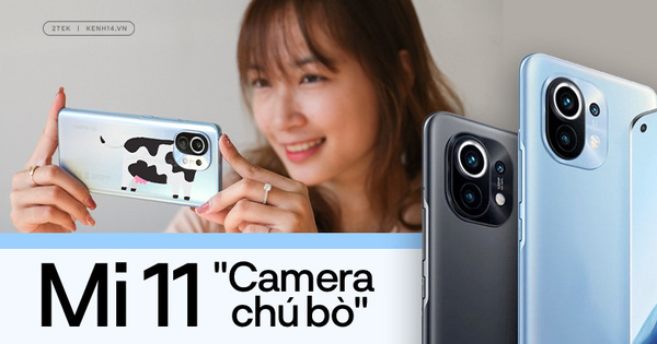 Trải nghiệm nhanh Xiaomi Mi 11, smartphone với camera lấy cảm hứng từ chú bò siêu dễ thương