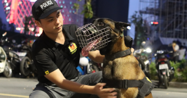 Những trợ thủ đặc biệt của cảnh vệ chuyên phát hiện chất nổ ở phòng VIP lễ 30/4