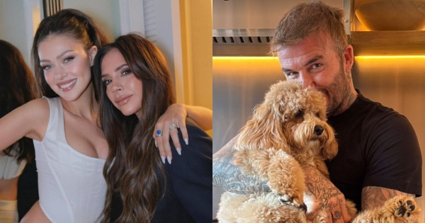 Beckham có nước đi không ngờ giữa drama "sóng gió gia tộc", tín hiệu "đầu hàng" con dâu?