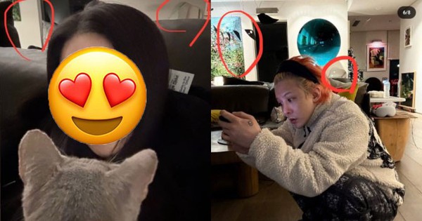 Ngoại lệ duy nhất của G-Dragon: Phủ nhận hẹn hò cả thế giới chỉ trừ 