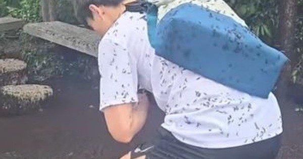 Hàn Quốc ngập tràn bọ tình yêu do nhiệt độ tăng cao