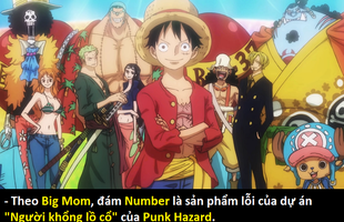 One Piece 989: Là một fan cứng, bạn có háo hức chờ đợi cảnh cả băng Mũ Rơm tập hợp sẵn sàng chiến đấu hay không?