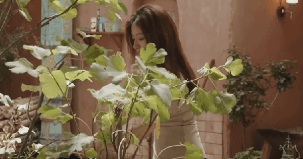 Một khi mỹ nhân này khóc là cả thế giới muốn lao vào dỗ dành: Con nhà ai mà đẹp vậy trời, 360 độ đều tuyệt đỉnh