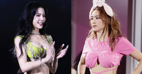 Diệp Lâm Anh đã làm gì Lan Ngọc mà bị chỉ trích đến mức này?