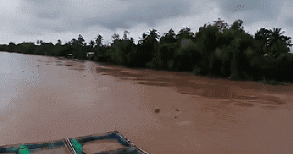 Đang đứng trên sông, người đàn ông bị điện giật tử vong trước sự bàng hoàng của đám đông