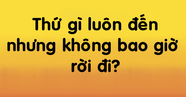 7 câu đố cực hay khiến cả nghìn người 