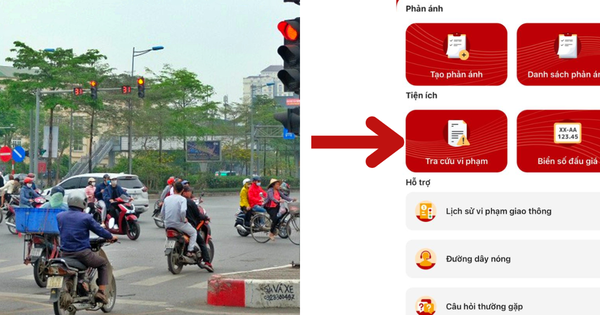 Hướng dẫn tra cứu phạt nguội trên ứng dụng VNeTraffic