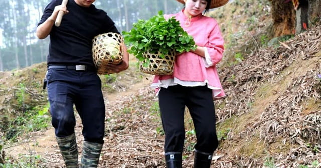 Du học về, cặp đôi quyết làm nông dân để gây dựng cuộc sống nhiều người thèm muốn