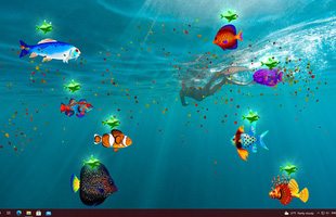 Biến màn hình máy tình thành bể cá ảo với Virtual Aquarium, miễn phí 100%