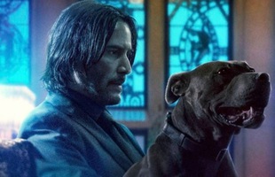 Phản ứng đầu tiên về John Wick 3: Hấp dẫn đến từng phút, đặc biệt là đàn chó quá 