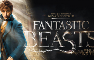 Tin vui cho các fan Harry Potter: Bộ phim Fantastic Beasts sẽ có phần 3