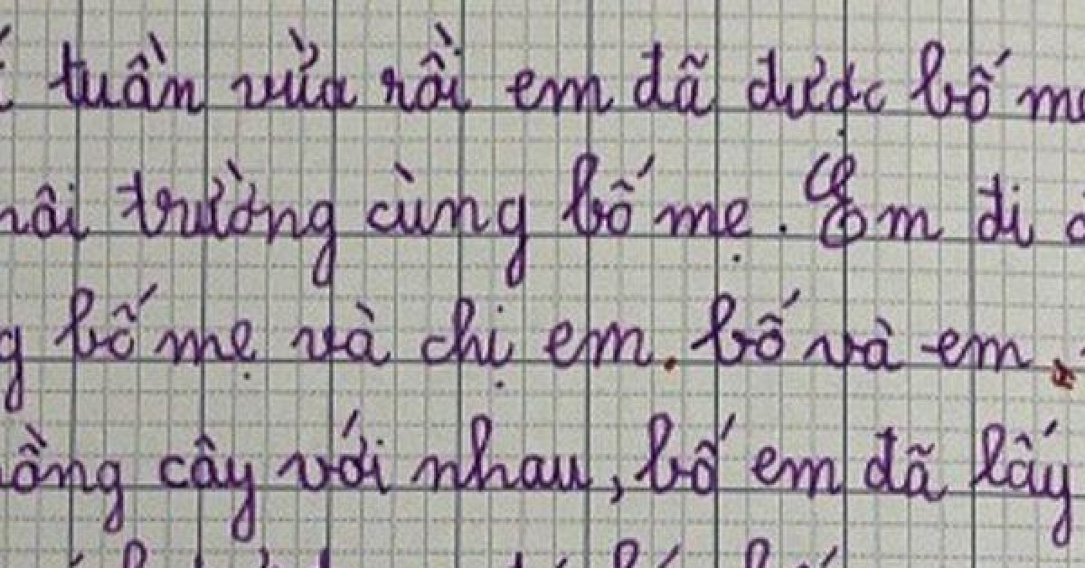 Bài văn miêu tả hoạt động bảo vệ môi trường của bé gái tiểu học khiến cộng đồng mạng cười ngất