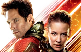 Phản ứng của cộng đồng mạng sau suất chiếu sớm Ant-Man and The Wasp: Tràn ngập tràn lời khen