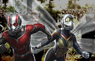 Lý do thật sự khiến Ant-Man and the Waps không có mặt trong Avengers: Infinity War là gì?