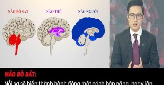 BTV, MC Sơn Lâm - Người gây tranh cãi “não thú - não người” là ai?