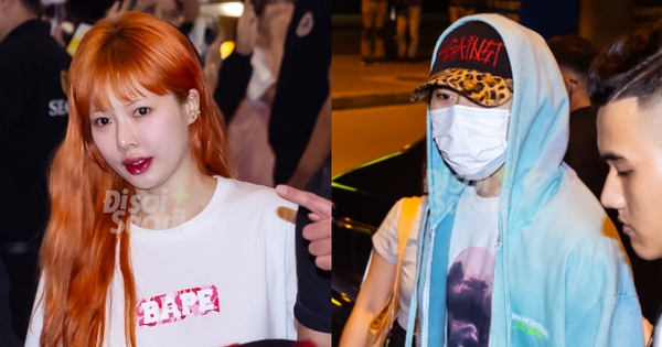 2 idol đình đám đổ bộ Tân Sơn Nhất giữa đêm: Hyuna tóc cam nổi bật, Zico không ngừng chào fan ngày trở lại Việt Nam