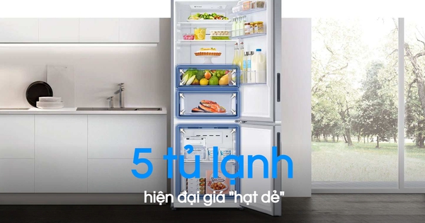 5 chiếc tủ lạnh giá dưới 10 triệu, thích hợp nhà trọ, gia đình trẻ