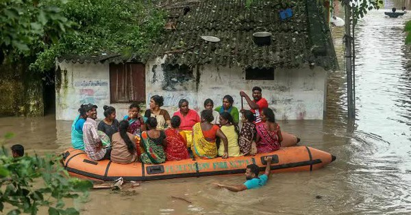 Bão Fengal tàn phá bang Tamil Nadu của Ấn Độ, ít nhất 12 người tử vong