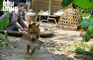 Những thử thách khi huấn luyện 