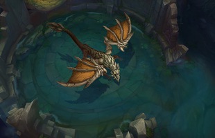 Doublelift “bóc phốt” Rồng Đất, gọi đây là nhân tố phá game trong môi trường thi đấu chuyên nghiệp