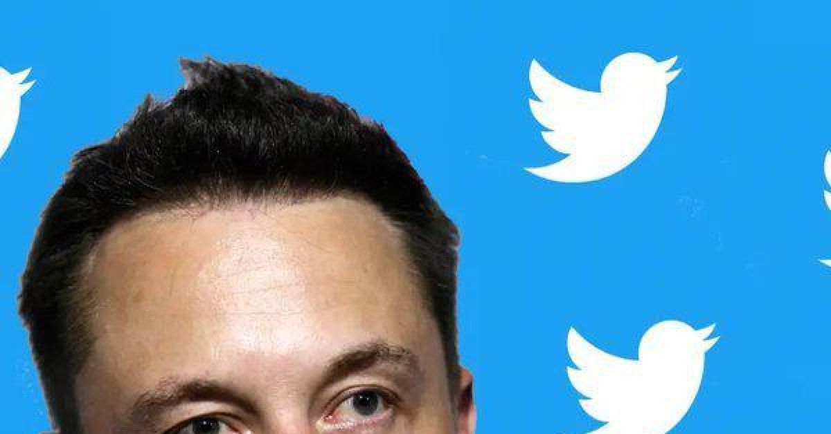 Elon Musk trở thành cổ đông lớn nhất của Twitter