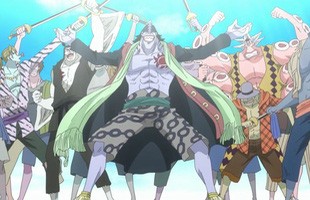 One Piece: Bên cạnh những bộ 3 quyền lực sở hữu sức mạnh bá đạo thì đây là 5 nhóm yếu nhất trong các băng hải tặc