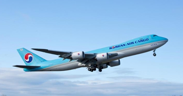 Nữ tiếp viên Korean Air mang theo đạn thật trong hành lý, đội xử lý bom mìn được điều động khẩn cấp