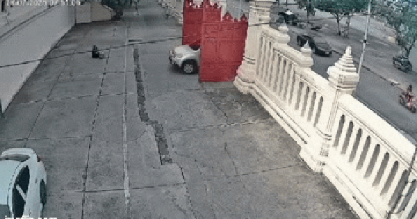 Lái ô tô cán qua người đàn ông, nữ tài xế có hành động khó hiểu, video hiện trường gây phẫn nộ